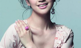 陕西有哪些明星,陕西明星风采掠影