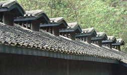 渣滓洞老照片,老照片中的革命记忆