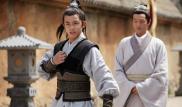 琅琊榜飞流演员,飞流传奇，少年侠客的江湖征程