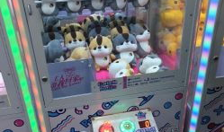 朝阳娱乐坑钱,揭秘坑钱真相，揭秘娱乐行业潜规则