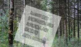 追风少年欧文背景音乐