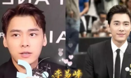 对明星说的话,揭秘明星背后的故事与心声