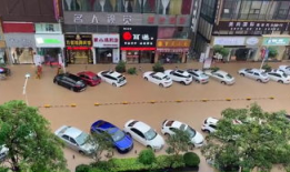 寮步镇图片,繁华与宁静交织的岭南水乡画卷