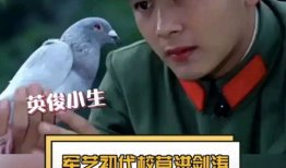 娱乐之军艺,娱乐界的军旅传奇