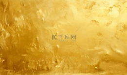 金金的背景,从平凡走向卓越的励志传奇